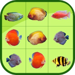 皇冠新体育APP官方入口